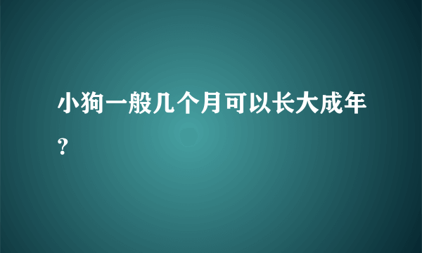 小狗一般几个月可以长大成年？