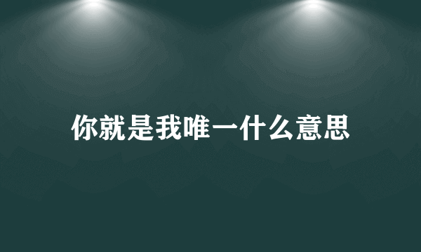 你就是我唯一什么意思