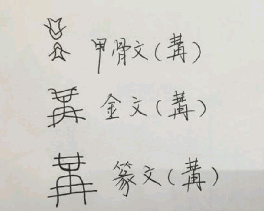 构是什么字