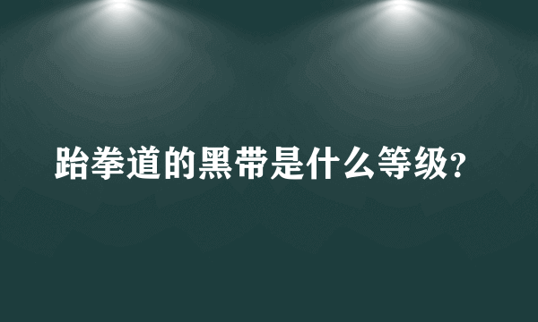 跆拳道的黑带是什么等级？