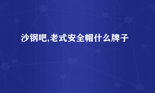 沙钢吧,老式安全帽什么牌子