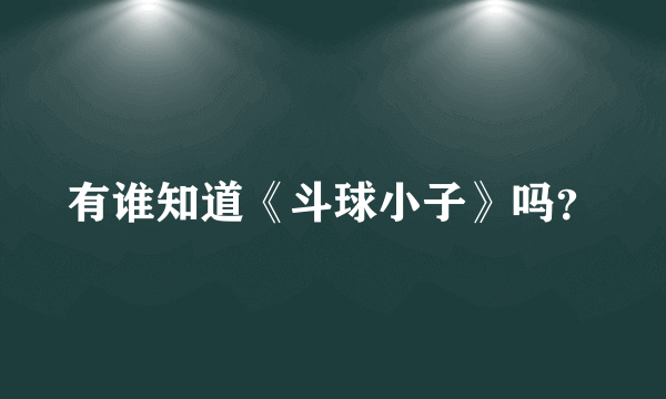 有谁知道《斗球小子》吗？