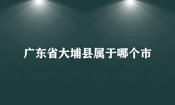 广东省大埔县属于哪个市