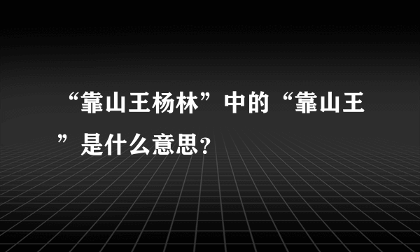 “靠山王杨林”中的“靠山王”是什么意思？