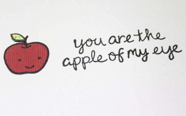 you're the apple of my eyes 什么意思？