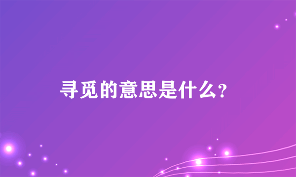 寻觅的意思是什么？