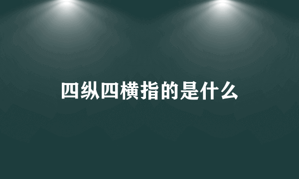 四纵四横指的是什么