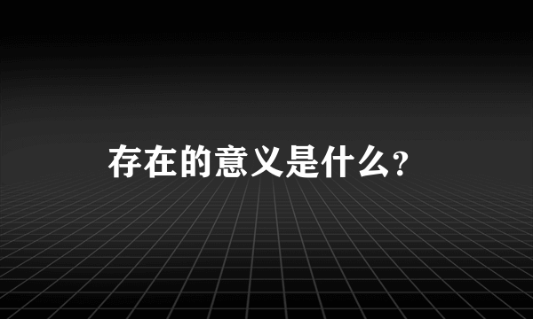 存在的意义是什么？