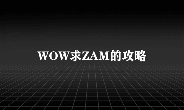 WOW求ZAM的攻略