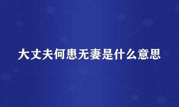 大丈夫何患无妻是什么意思