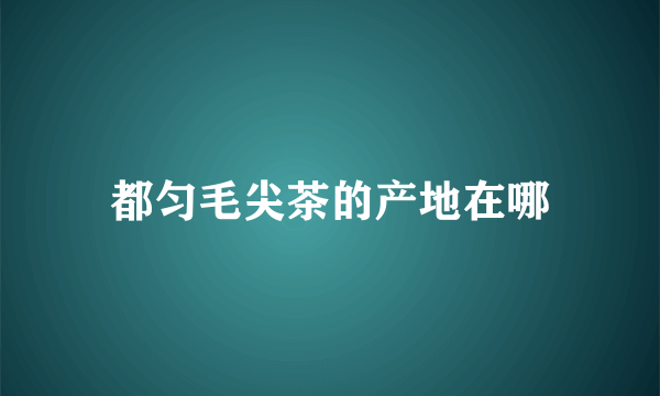 都匀毛尖茶的产地在哪