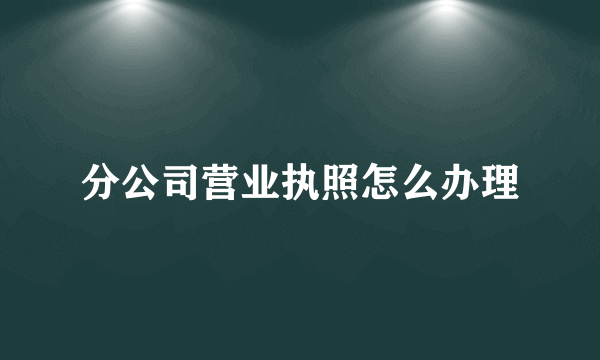 分公司营业执照怎么办理