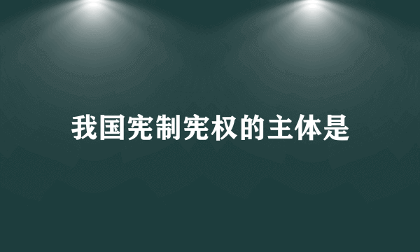 我国宪制宪权的主体是