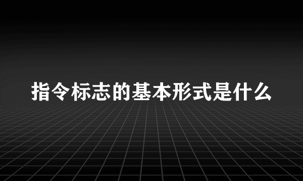 指令标志的基本形式是什么