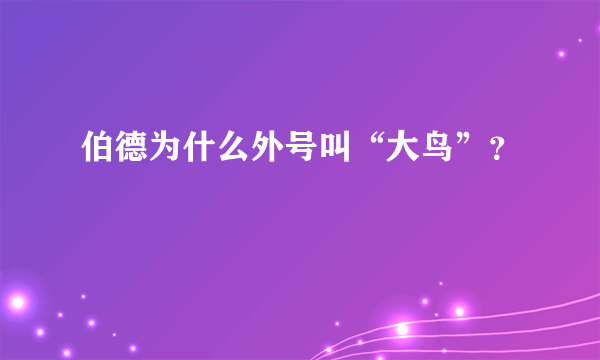 伯德为什么外号叫“大鸟”？