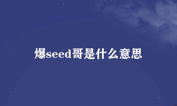 爆seed哥是什么意思