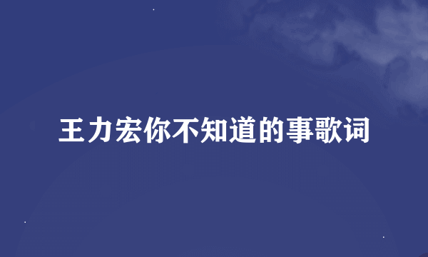 王力宏你不知道的事歌词