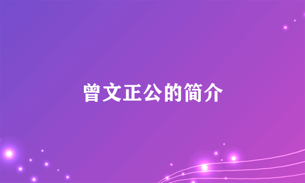 曾文正公的简介