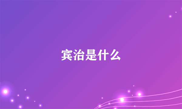 宾治是什么