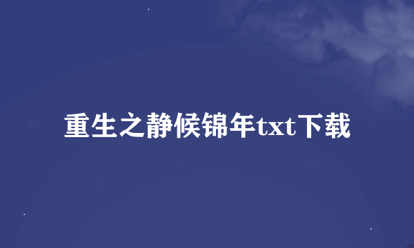 重生之静候锦年txt下载