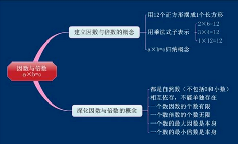 因数和倍数的关系是什么？