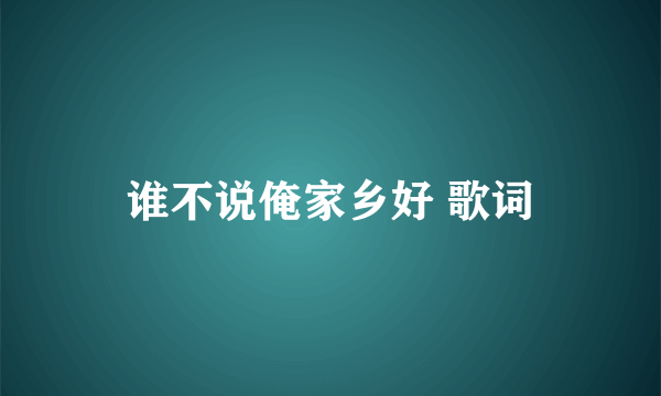 谁不说俺家乡好 歌词