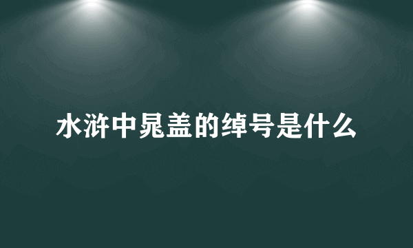 水浒中晁盖的绰号是什么