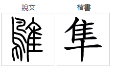 隼字怎么念？