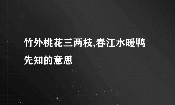 竹外桃花三两枝,春江水暖鸭先知的意思