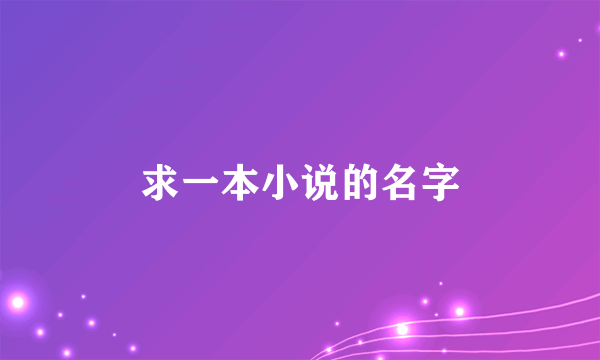 求一本小说的名字