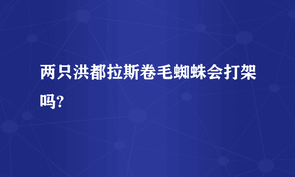 两只洪都拉斯卷毛蜘蛛会打架吗?