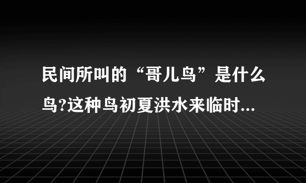 民间所叫的“哥儿鸟”是什么鸟?这种鸟初夏洪水来临时经常听到叫声，民间还有一个关于这种鸟来源的故事。