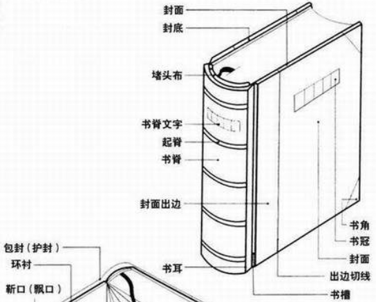 论文扉页是什么