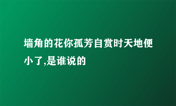 墙角的花你孤芳自赏时天地便小了,是谁说的