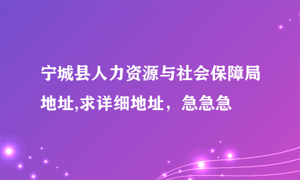 宁城县人力资源与社会保障局地址,求详细地址，急急急