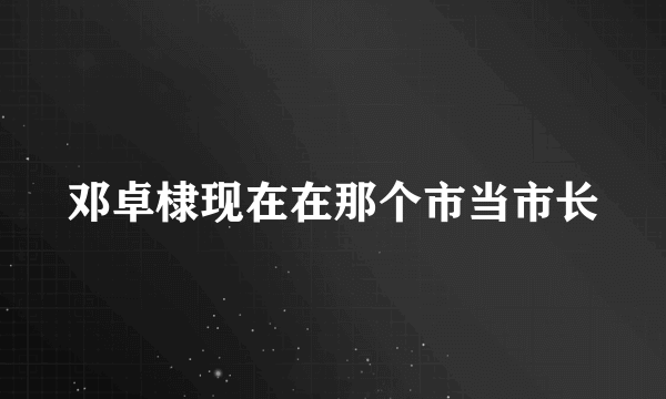 邓卓棣现在在那个市当市长