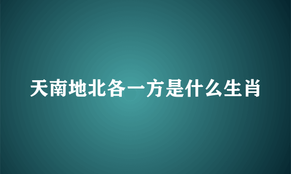 天南地北各一方是什么生肖