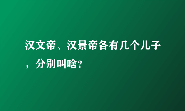 汉文帝、汉景帝各有几个儿子，分别叫啥？