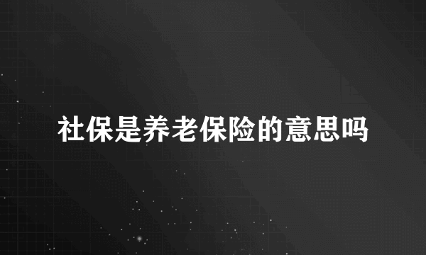 社保是养老保险的意思吗