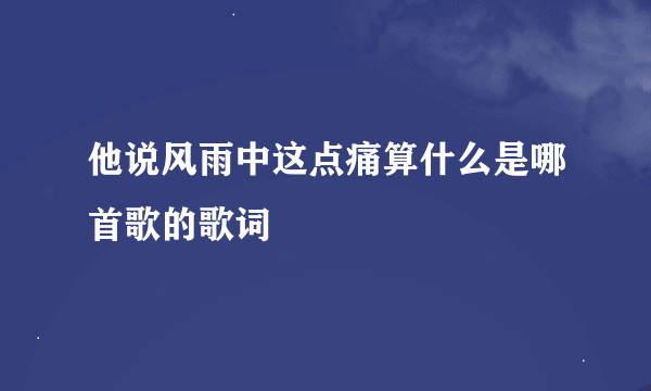 他说风雨中这点痛算什么是哪首歌的歌词