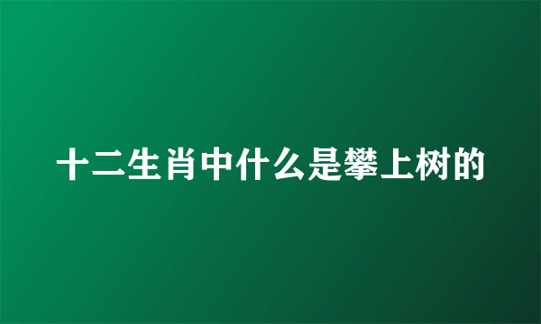 十二生肖中什么是攀上树的