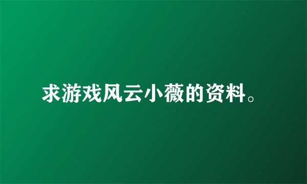 求游戏风云小薇的资料。