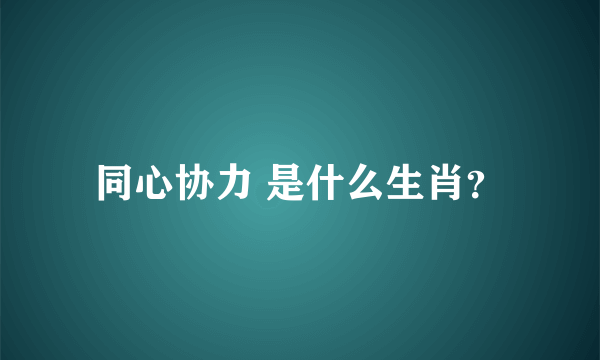 同心协力 是什么生肖？