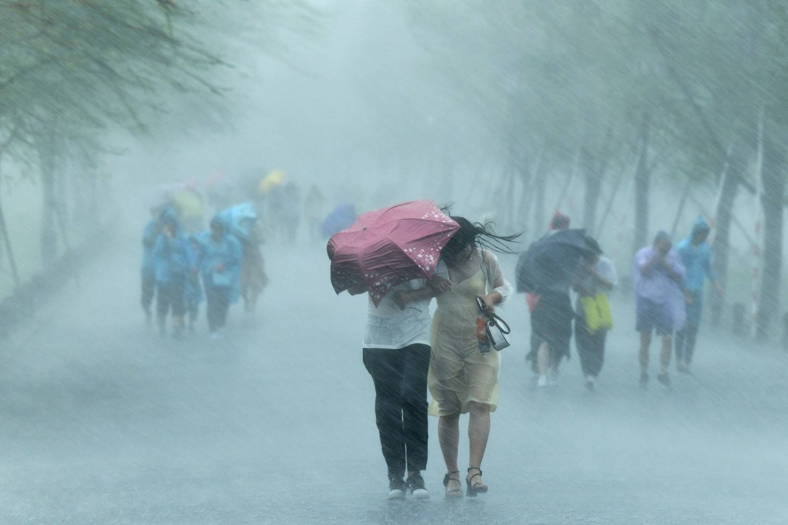 河南南阳遭遇暴雨，有临街商铺被淹，造成的损害该由谁来承担？