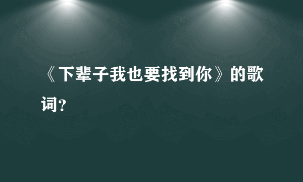 《下辈子我也要找到你》的歌词？