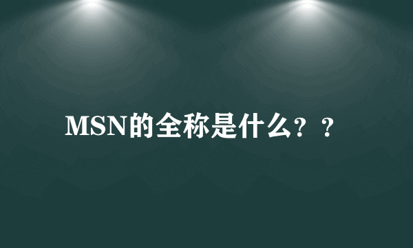 MSN的全称是什么？？