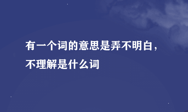 有一个词的意思是弄不明白，不理解是什么词