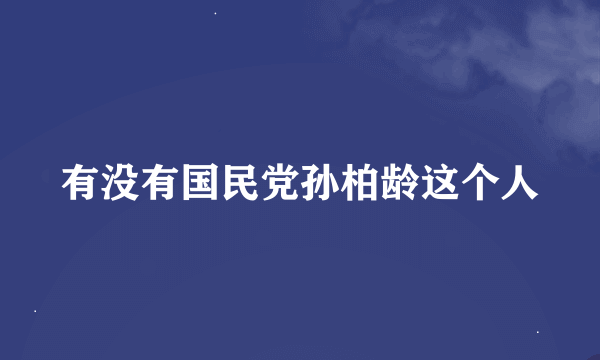 有没有国民党孙柏龄这个人