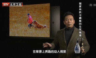 《档案》北京卫视主持人是谁？