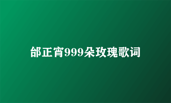 邰正宵999朵玫瑰歌词